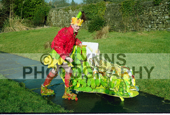 Castlerea Community School 2002 0028