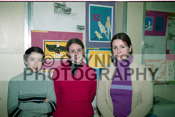 Castlerea Community School Art 2000 0005