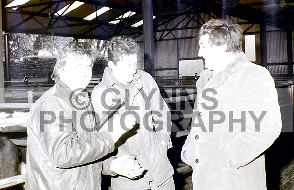 Castlerea Mart Farmers Journal 01-1987_0011