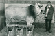 1989-06 RH img591