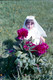 Ballintubber Communion 1976_0005