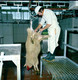 Athleague Meat Factory 10-09-1975_0014