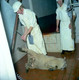 Athleague Meat Factory 10-09-1975_0011