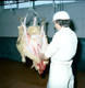 Athleague Meat Factory 10-09-1975_0005