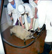 Athleague Meat Factory 10-09-1975_0012