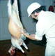 Athleague Meat Factory 10-09-1975_0002
