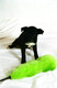 Unknown Dogs (Studio) 2004 0007