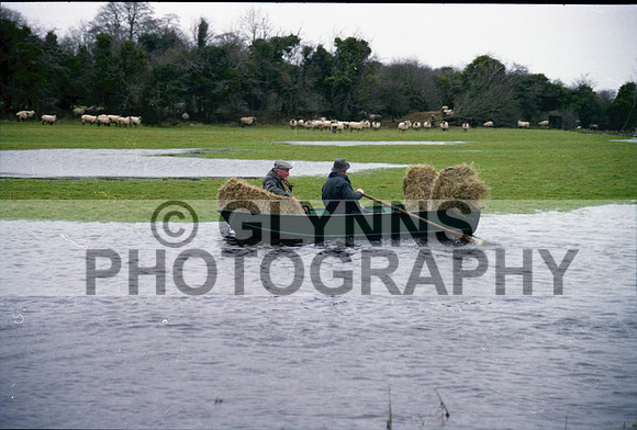 Kelly, P. (Farm Flood) 1999_0001