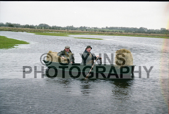 Kelly, P. (Farm Flood) 1999_0004