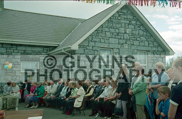 Glinsk Ballincurry National School Reunion 2000 0030