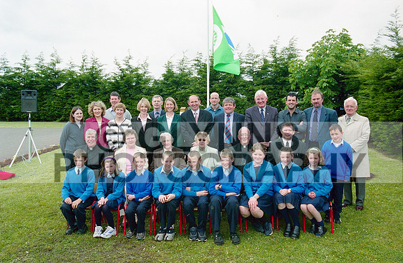 Williamstown Green Flag 2002 0001