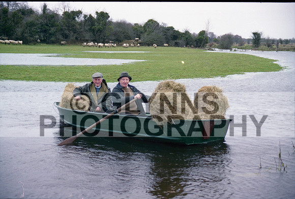 Kelly, P. (Farm Flood) 1999_0003