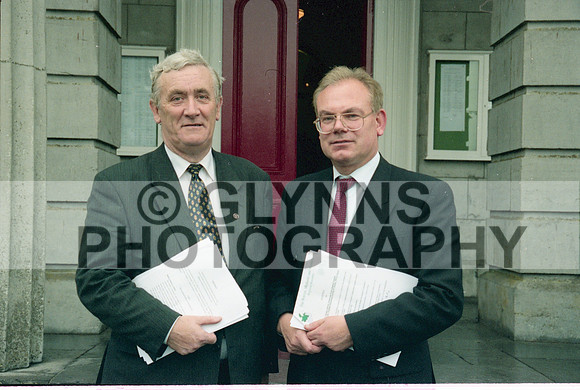 Roscommon County Council 1999 0004
