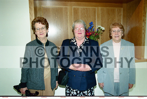 Roscommon County Development Board 2002 0004