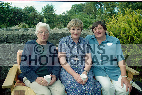 Glinsk Ballincurry National School Reunion 2000 0014