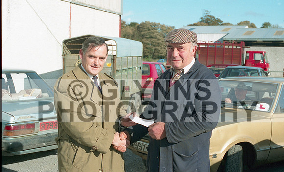 Castlerea Mart 1993 0036