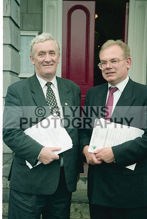 Roscommon County Council 1999 0006
