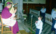 Ballaghaderreen Boy Scouts Ceremony 10-10-1977_0014