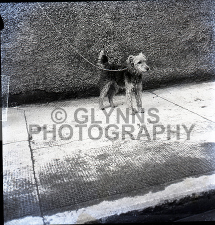 1961 Unknown Collection_0132