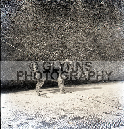 1961 Unknown Collection_0134