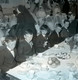 Castlerea Communion 1968_0006