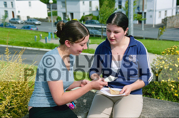 Castlerea Community School Leaving Cert Results 2001_0004