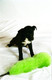 Unknown Dogs (Studio) 2004 0008