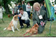 Ballaghaderreen Dog Show 1997_0003