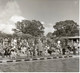 Castlerea Swimming Pool 1967_0001