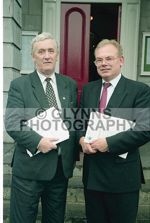 Roscommon County Council 1999 0005