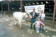 Castlerea Agricultural Show 1996 0008