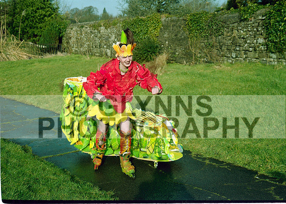 Castlerea Community School 2002 0027