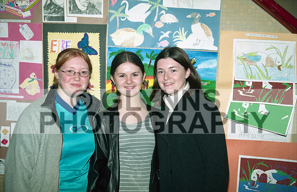 Castlerea Community School Art 2000 0002