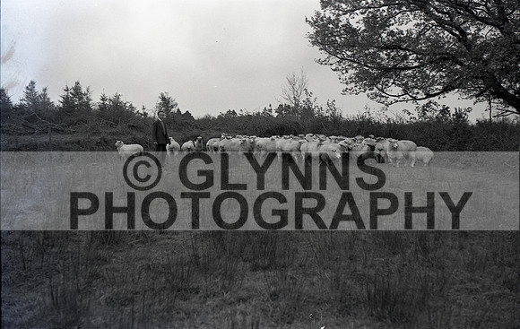 1960 Unknown Collection_0050