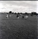 Castlerea Football (County Final) 1969_0007