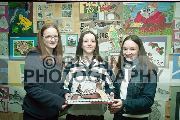 Castlerea Community School Art 2000 0004
