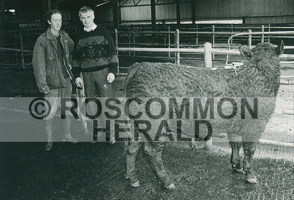 1995-12-08 RH shane o dowd connelan