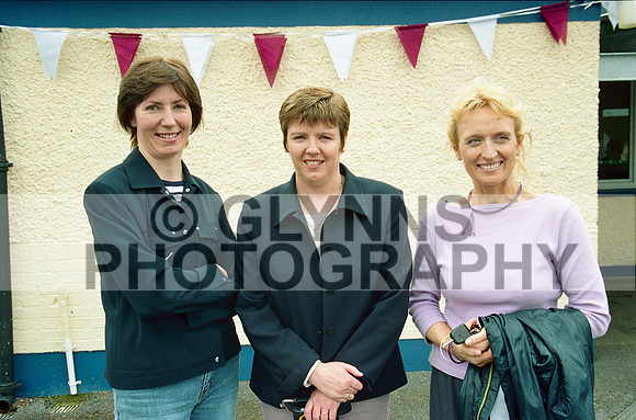 Williamstown Green Flag 2002 0007