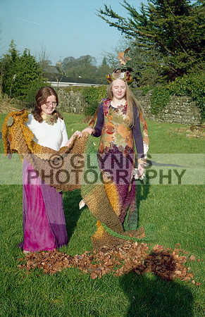 Castlerea Community School 2002 0017