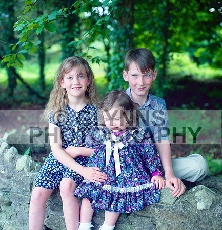 Unknown Family (Demesne) 1993 (2) 0006