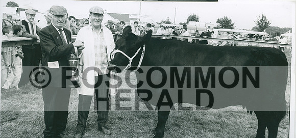 1996-08-23 RH Pedigree Champiom (P.Bracken N.U.J Longford)