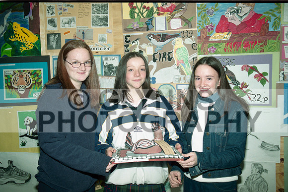 Castlerea Community School Art 2000 0003