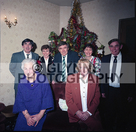 Gannon 1992 0003