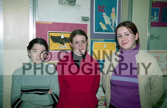 Castlerea Community School Art 2000 0001